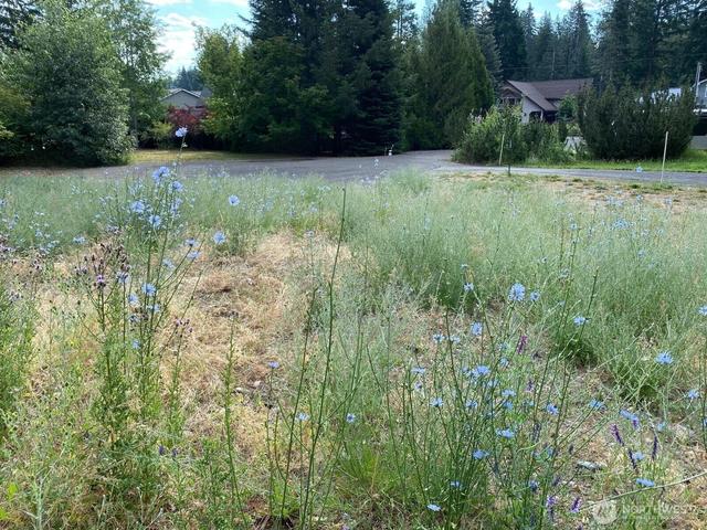 7 Lot Kuhuku Ct, Cle Elum, WA 98922