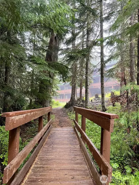 Other - 31008 Ski Club Ln, Enumclaw, WA 98022 photo 15 of 15