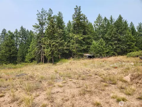 250 Union Ridge Rd, Republic, WA 99166
