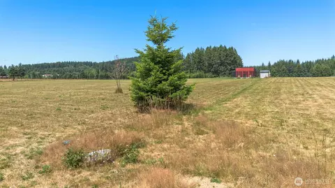 177 Nelson Rd, Winlock, WA 98596 photo 14