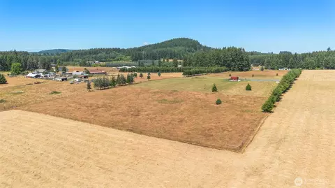 177 Nelson Rd, Winlock, WA 98596 photo 8