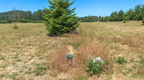 177 Nelson Rd, Winlock, WA 98596 photo 15