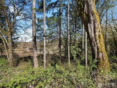 41298 214th Ave SE, Enumclaw, WA 98022 photo 32