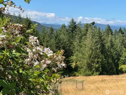 183 Hillside Dr, Sequim, WA 98382 photo 19