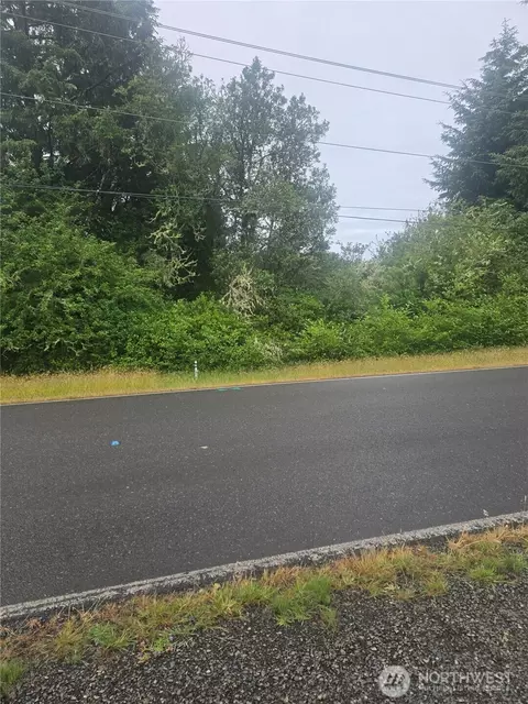 951 Mt Olympus Ave SE, Ocean Shores, WA 98569