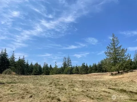 646 Tributary Ln, Port Angeles, WA 98362