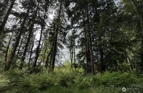 11106 Spruce Dr, Anderson Island, WA 98303