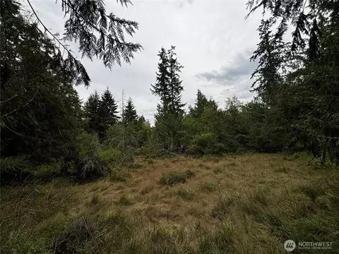 9999 S Bagley St, Port Angeles, WA 98362