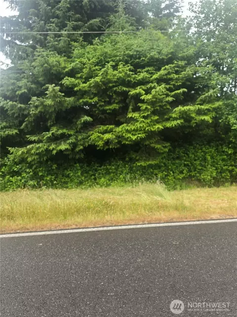 955 Mt Olympus Ave SE, Ocean Shores, WA 98569