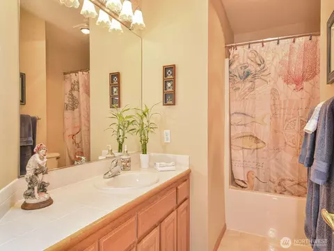 Bath - 1919 243rd Pl SE, Bothell, WA 98021 photo 5 of 5