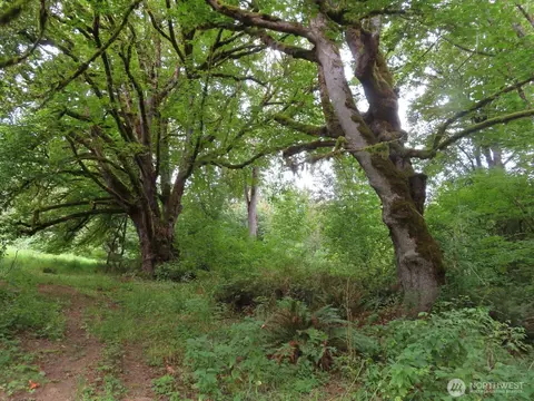 0 Nnn Del Ray Rd, Mossyrock, WA 98564