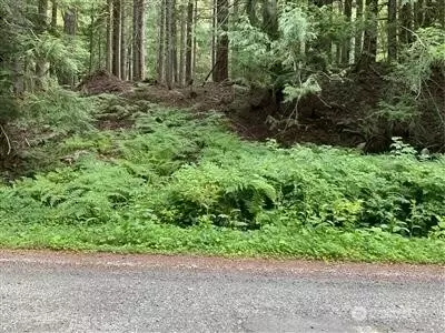 87426 NE Old Cascade Hwy, Skykomish, WA 98288