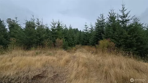 9207 Tract B Old Olympic Hwy NW, Olympia, WA 98502