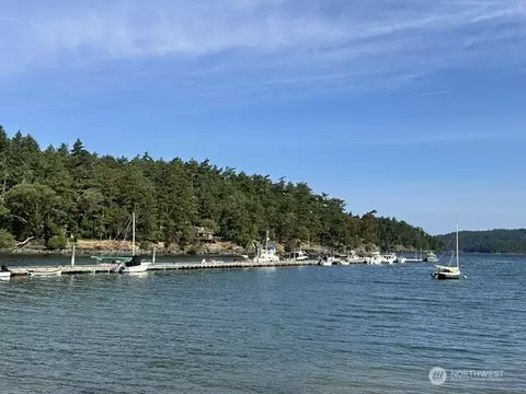 View/Area - 240 Old Midden Ln, Shaw Island, WA 98286 photo 4 of 10