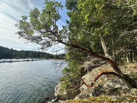View/Area - 240 Old Midden Ln, Shaw Island, WA 98286 photo 6 of 10