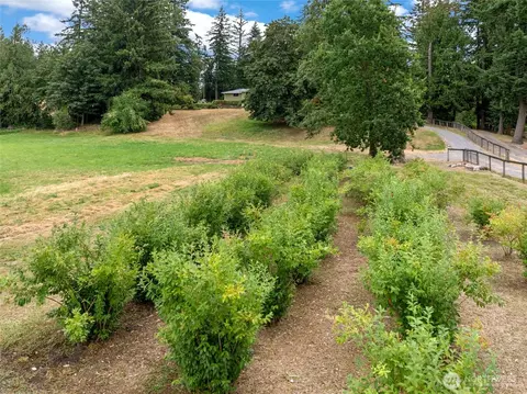 Other - 41212 268th Ave SE, Enumclaw, WA 98022 photo 3 of 4