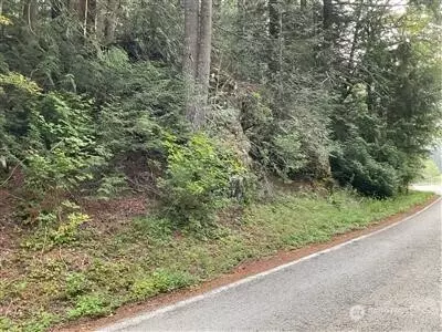 87442 NE Old Cascade Hwy, Skykomish, WA 98288