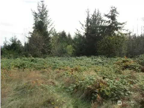 0 No #STE ADDRESS, Port Ludlow, WA 98365