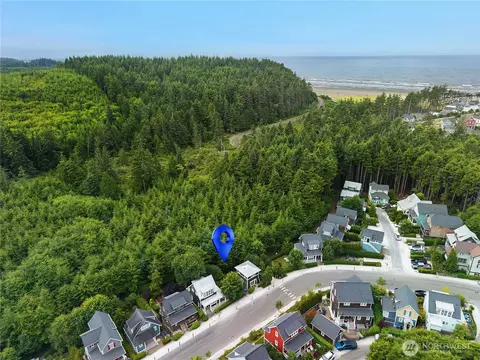 View/Area - 229 Compass St, Pacific Beach, WA 98571 photo 2 of 9