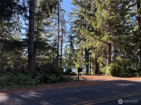 0 E Mason Lake Dr E, Grapeview, WA 98546 photo 3
