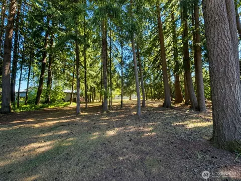 Exterior - 334 Harmon Rd, Chehalis, WA 98532 photo 13 of 15