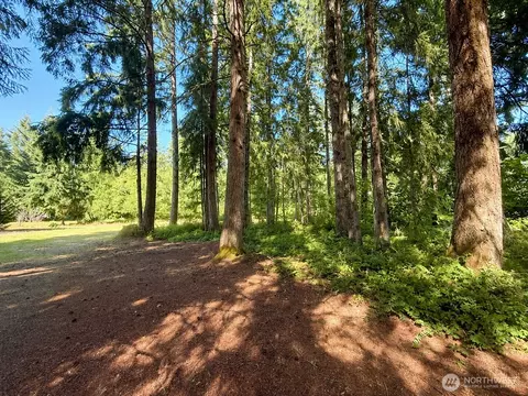 Exterior - 334 Harmon Rd, Chehalis, WA 98532 photo 7 of 15