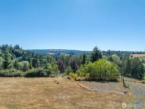 Other - 526 Haywire Rd, Winlock, WA 98596 photo 12 of 12