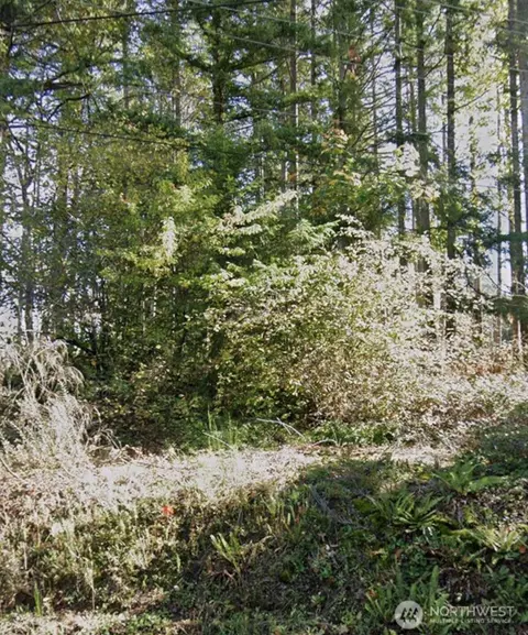 0 Central Valley Rd, Bremerton, WA 98311