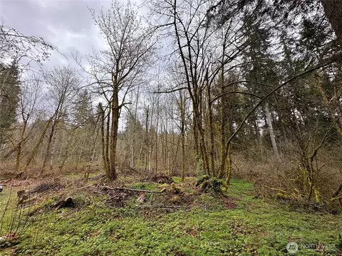19009 51st Ave SE, Bothell, WA 98012 photo 9