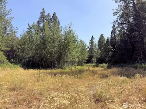 2 Milescreston Rd E, Creston, WA 99117 photo 35