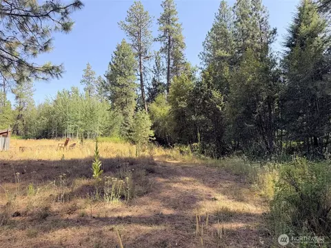 2 Milescreston Rd E, Creston, WA 99117 photo 12