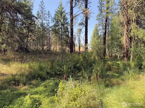 2 Milescreston Rd E, Creston, WA 99117 photo 13