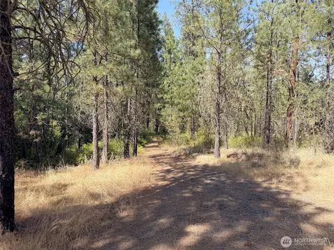 2 Milescreston Rd E, Creston, WA 99117 photo 19