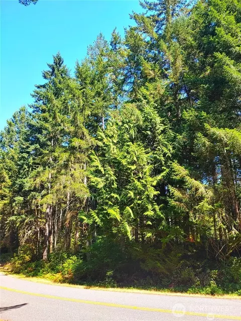 11511 Lake Josephine Blvd, Anderson Island, WA 98303