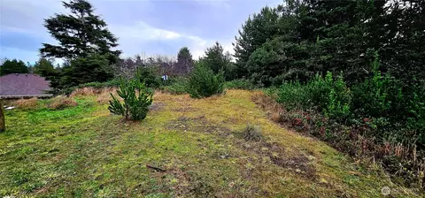 30514 K Pl, Ocean Park, WA 98640