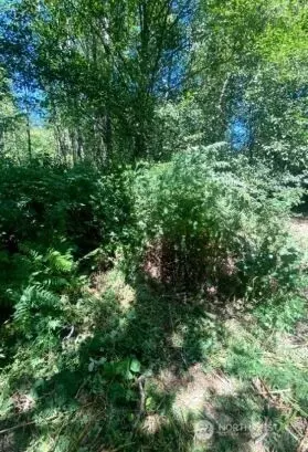 166 SE Nn Se 51st Ave, Bothell, WA 98012 photo 5