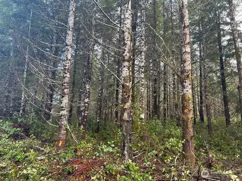 Undisclosed, Shelton, WA 98584