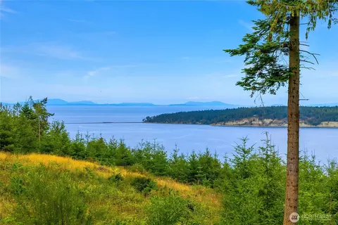 View/Area - 698 Streamside Dr, Sequim, WA 98382 photo 2 of 5