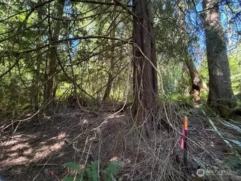 0 Weyers Ln SW, Port Orchard, WA 98366