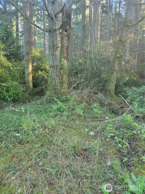 11920 Country Club Dr, Anderson Island, WA 98303