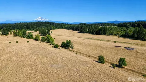 12306 Bald Hill Rd SE, Yelm, WA 98597
