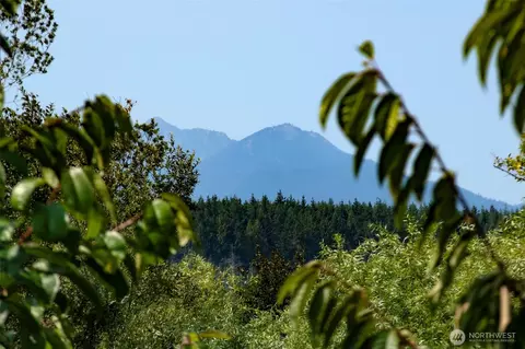 Other - 201 Winterhawk St, Sequim, WA 98382 photo 9 of 9