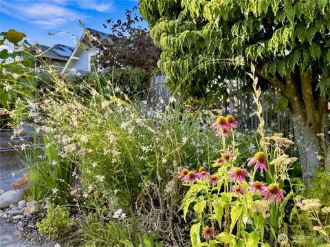 Exterior - 1918 S Waite St, Seattle, WA 98144 photo 11 of 11