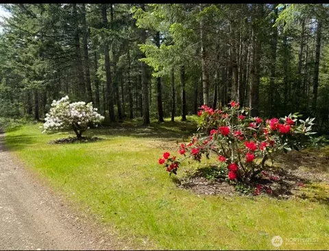2461 W Hanks Lake Rd, Shelton, WA 98584