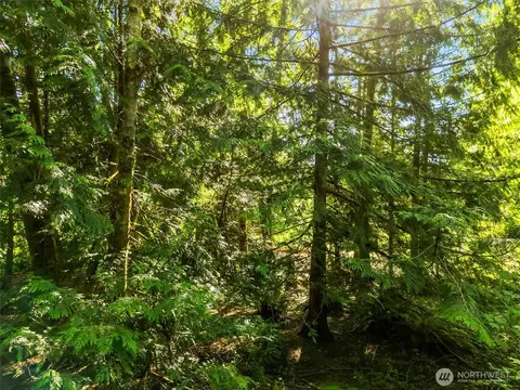 0 Beaver Pl, Sedro Woolley, WA 98284
