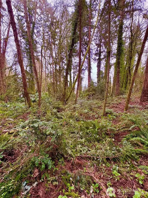0 SW 230th St, Vashon, WA 98070