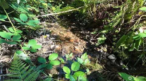 Other - 8840 Haystack Rd, Concrete, WA 98237 photo 4 of 6