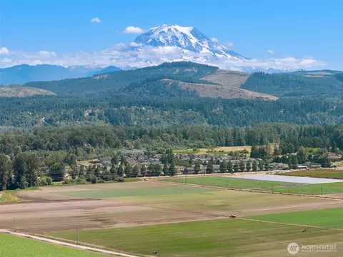 View/Area - 18213 18307 150th Avenue Ct E, Orting, WA 98360 photo 9 of 15