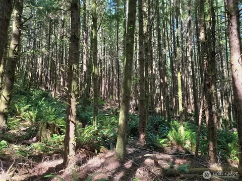 0 Nka Sr 109 Spur, Hoquiam, WA 98550
