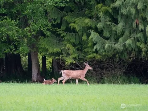 Other - 220 Cascadia Loop, Sequim, WA 98382 photo 6 of 6